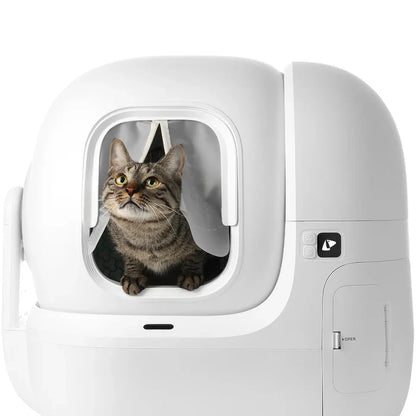 Smart Cat Litter Box