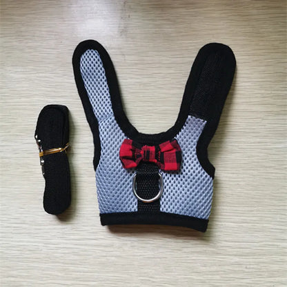 Cute Rabbit Walking Harness Set – Soft Vest with Leash for Outdoor Use