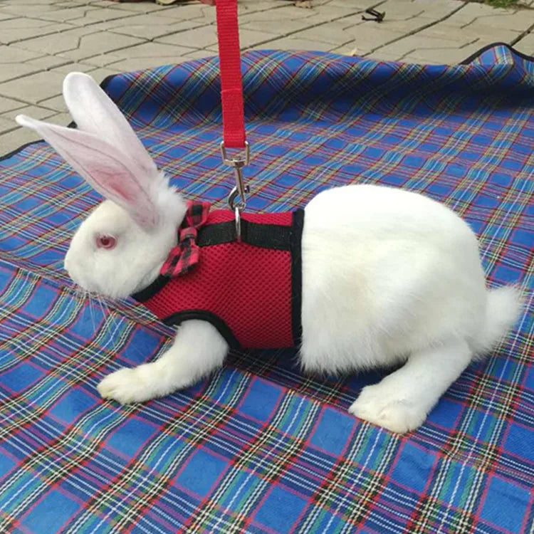 Cute Rabbit Walking Harness Set – Soft Vest with Leash for Outdoor Use