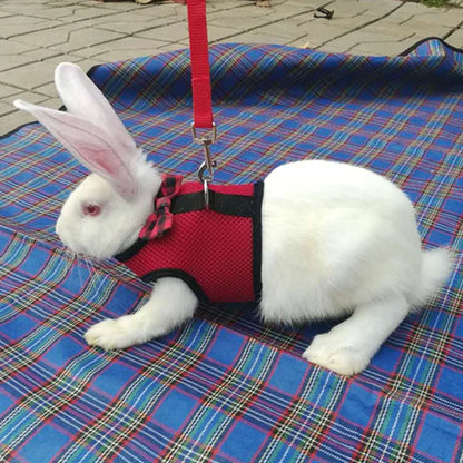 Cute Rabbit Walking Harness Set – Soft Vest with Leash for Outdoor Use