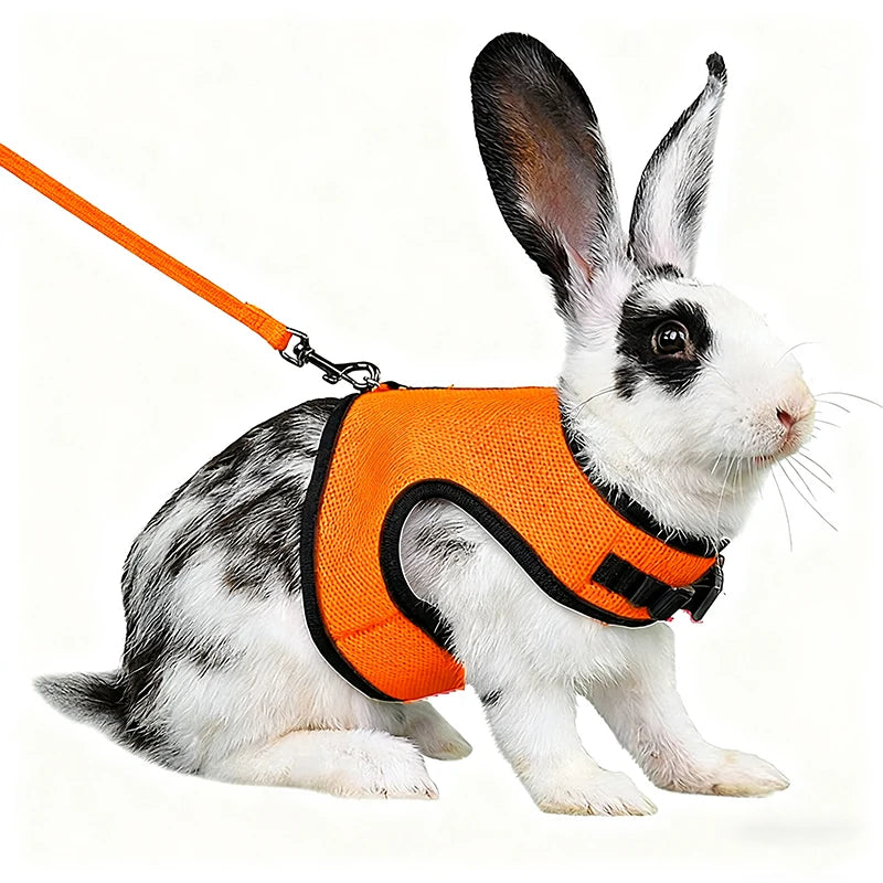 Rabbit Harness & Leash Set – Adjustable Walking Vest for Bunnies
