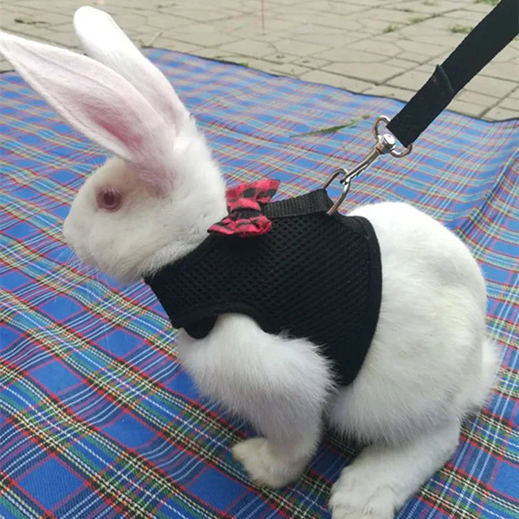 Cute Rabbit Walking Harness Set – Soft Vest with Leash for Outdoor Use