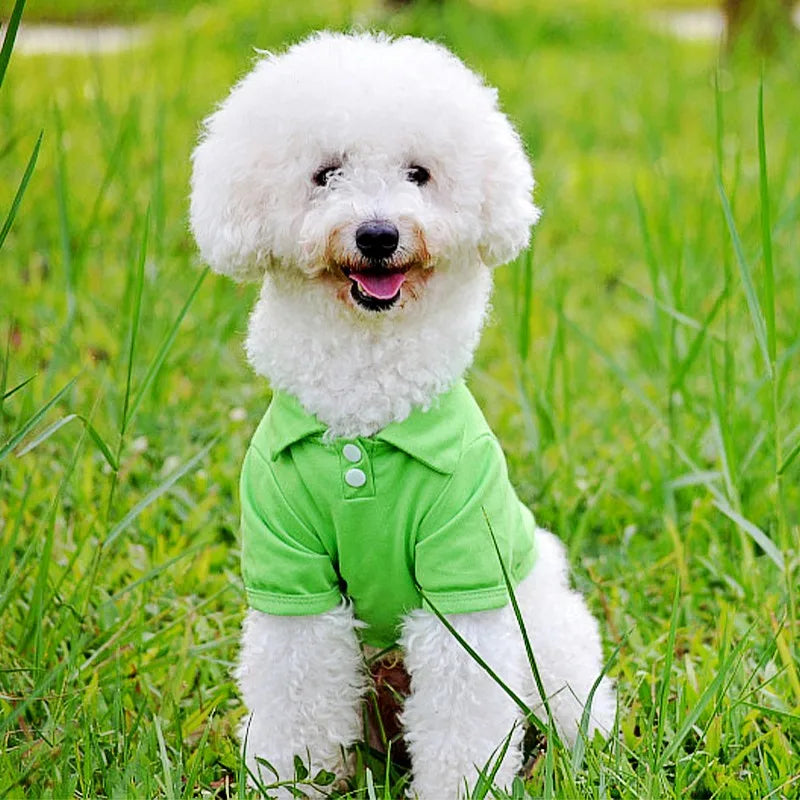 Luxury Dog Polo Shirt for Small Dogs