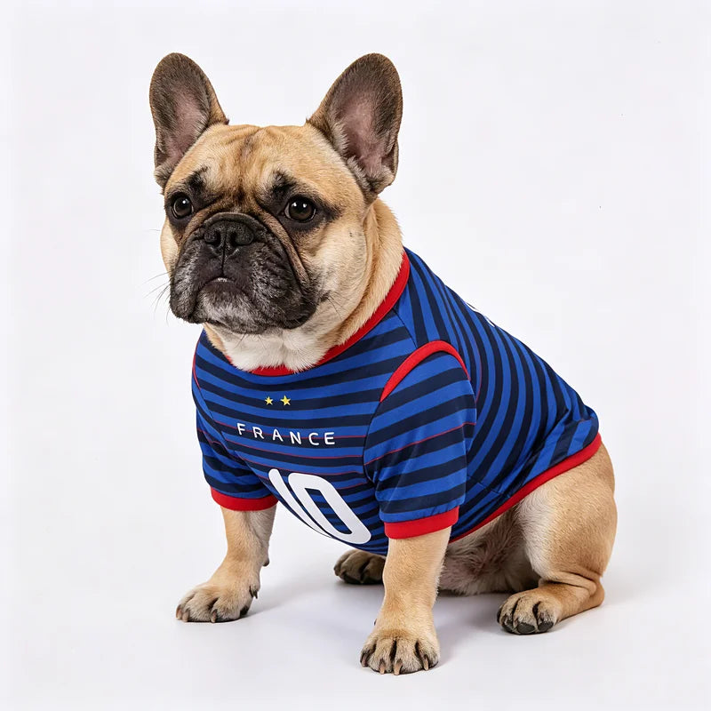Sport Mesh Dog Vest – Summer Pet Shirt
