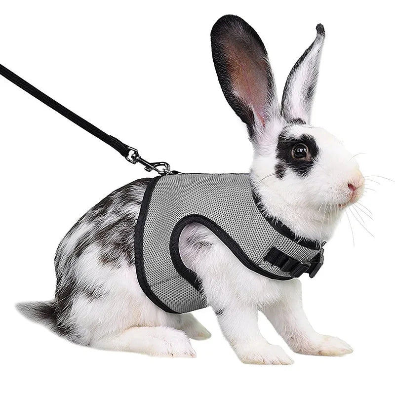 Rabbit Harness & Leash Set – Adjustable Walking Vest for Bunnies