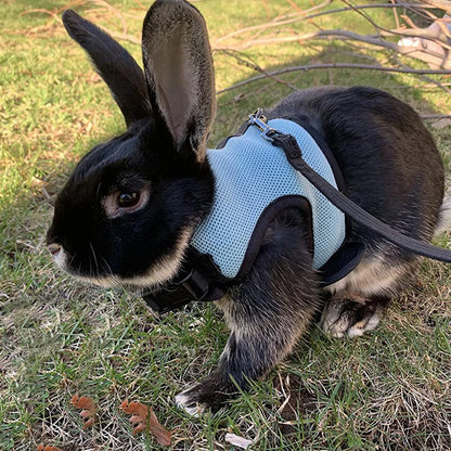 Rabbit Harness & Leash Set – Adjustable Walking Vest for Bunnies