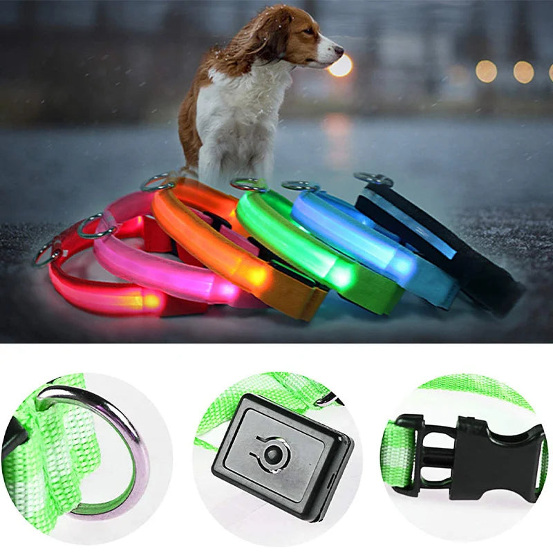 USB Rechargeable LED Dog Collar with Detachable Pendant – Luminous Safety Collar for Dogs & Cats