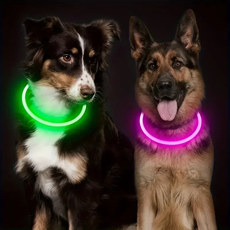 USB Rechargeable LED Dog Collar