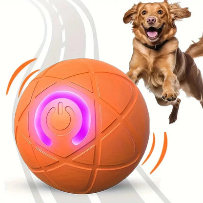 Interactive Rolling Ball Toy for Dogs & Cats