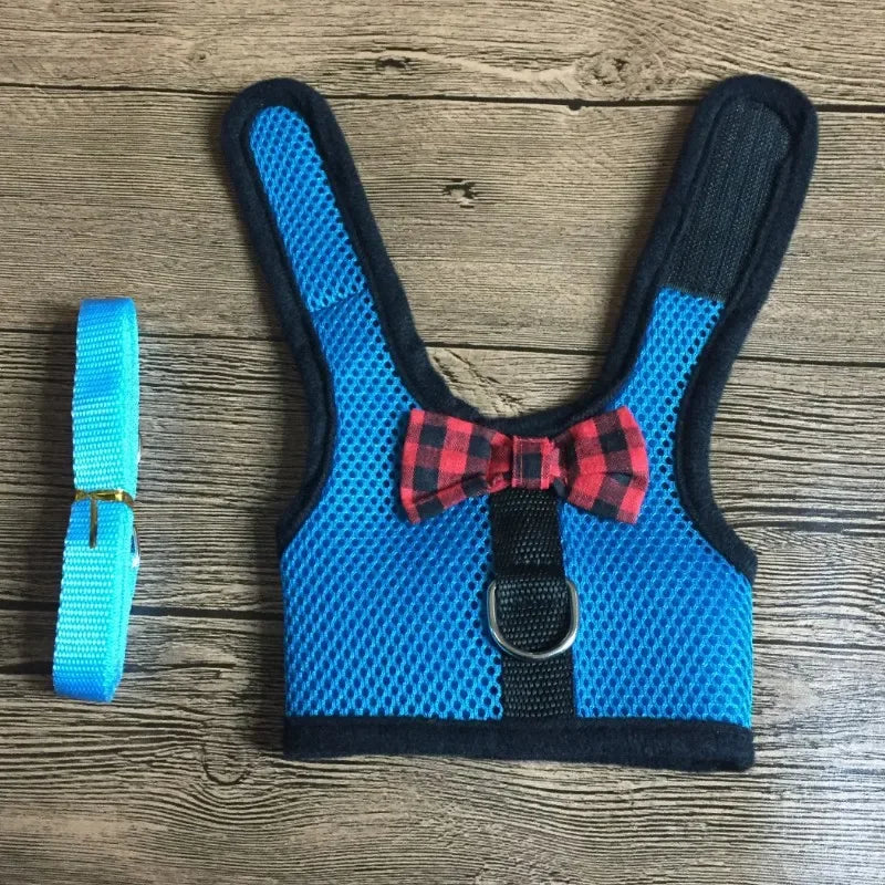 Cute Rabbit Walking Harness Set – Soft Vest with Leash for Outdoor Use