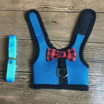 Cute Rabbit Walking Harness Set – Soft Vest with Leash for Outdoor Use