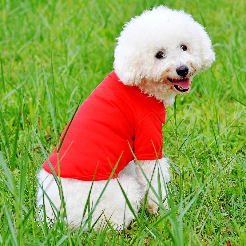 Luxury Dog Polo Shirt for Small Dogs