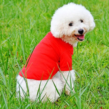 Luxury Dog Polo Shirt for Small Dogs
