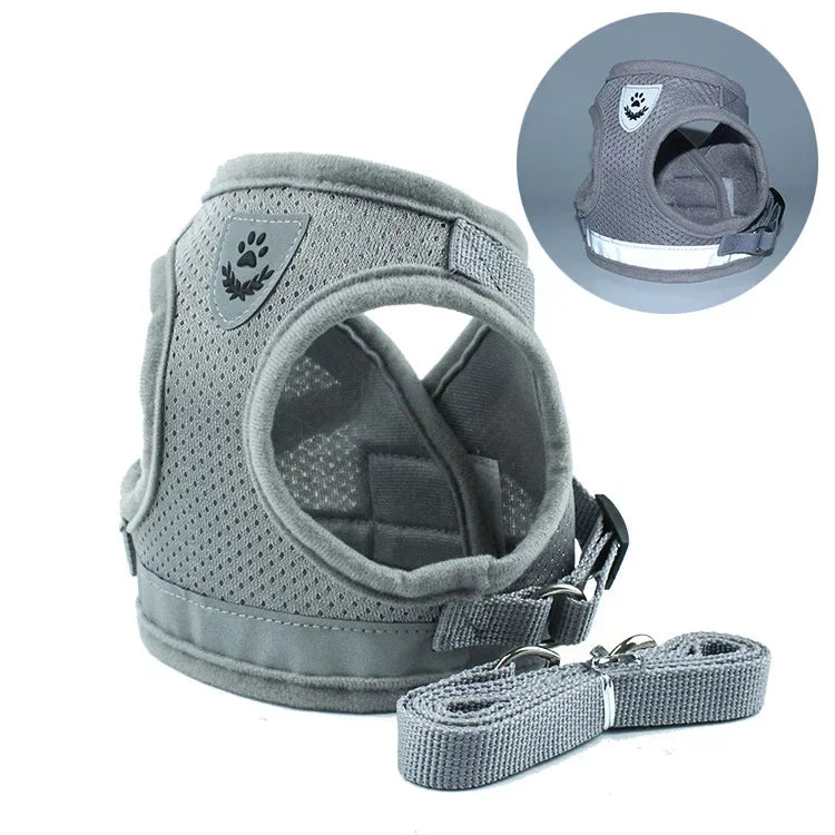 Reflective Cat & Small Dog Harness Set