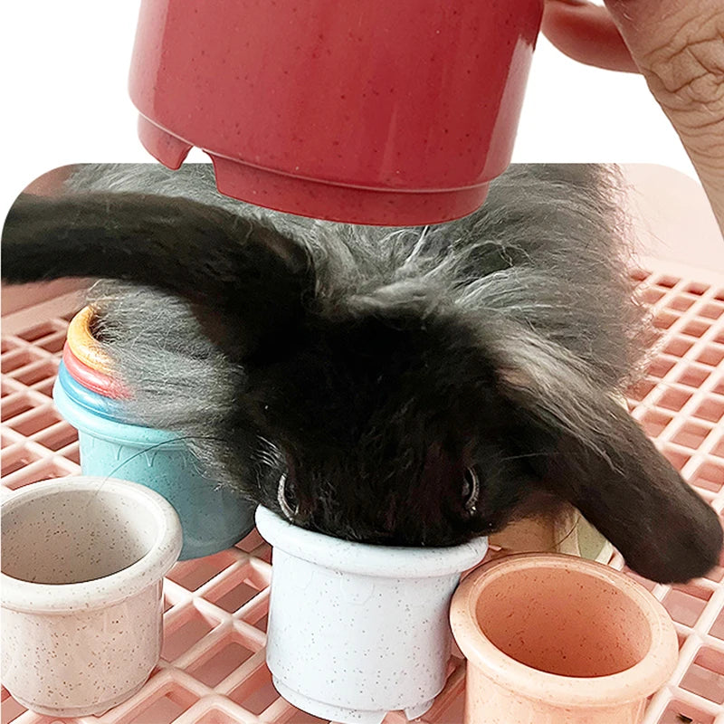 Stacking Cups Toy for Rabbits