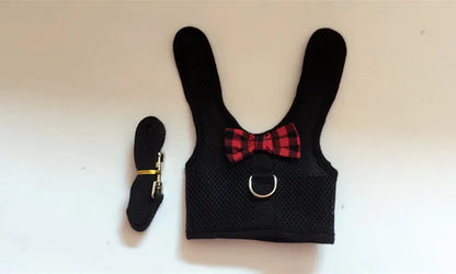 Cute Rabbit Walking Harness Set – Soft Vest with Leash for Outdoor Use