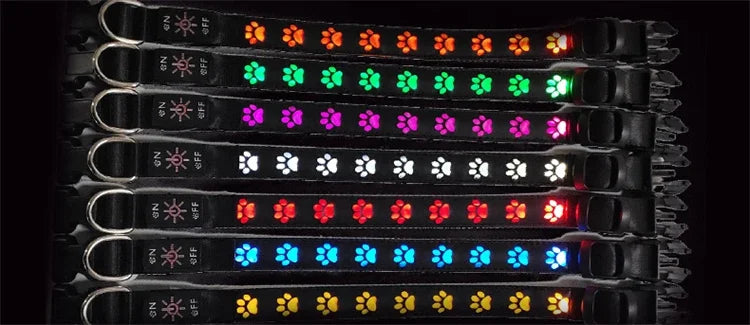 LED Light-Up Dog Collar & Leash Set