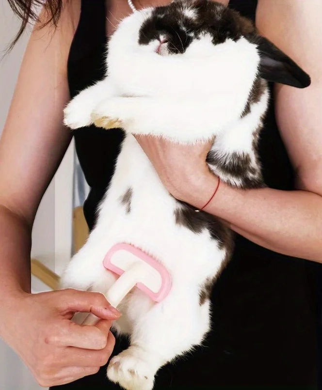 Rabbit Grooming Massage & Deshedding Comb