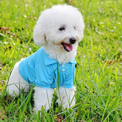 Luxury Dog Polo Shirt for Small Dogs