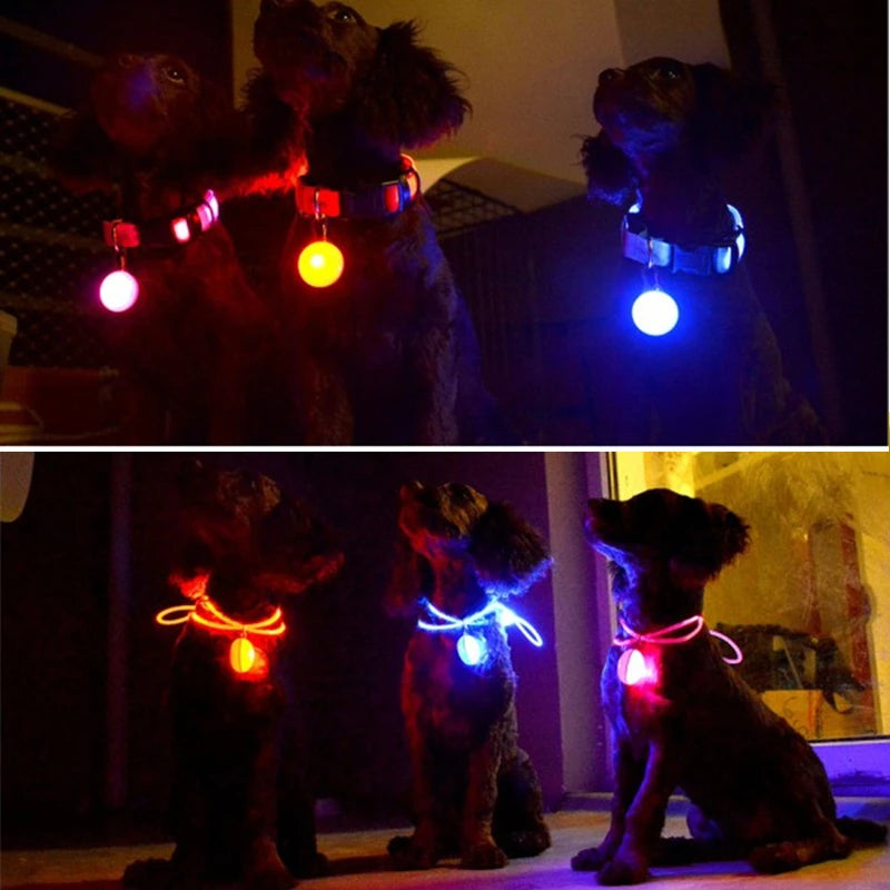 USB Rechargeable LED Dog Collar with Detachable Pendant – Luminous Safety Collar for Dogs & Cats
