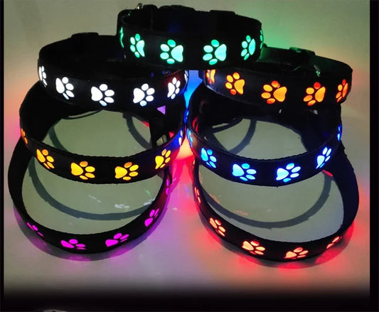 LED Light-Up Dog Collar & Leash Set