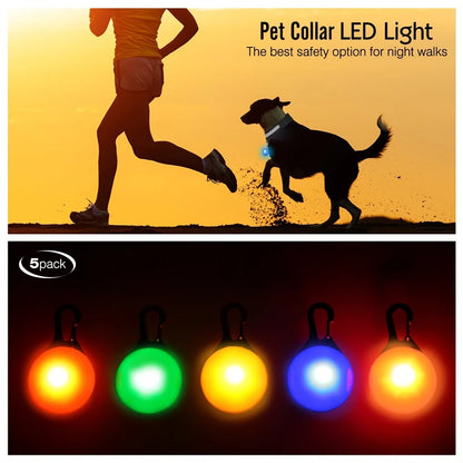 USB Rechargeable LED Dog Collar with Detachable Pendant – Luminous Safety Collar for Dogs & Cats