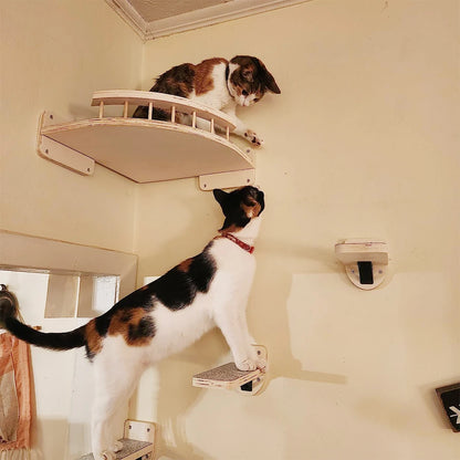 Wall Mounted Cat Climbing Shelf – 4-Step Stairway with Sisal Scratching Post