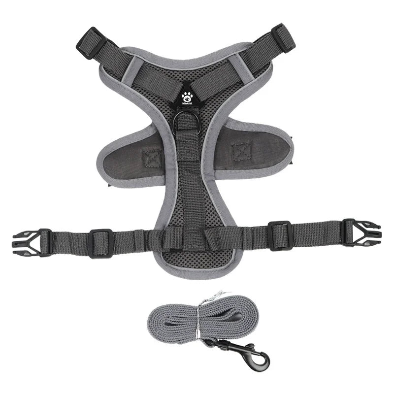 Dog Harness & Leash Set