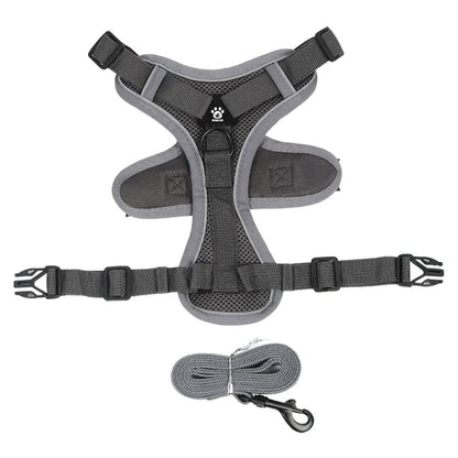 Dog Harness & Leash Set
