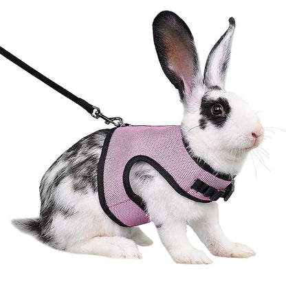Rabbit Harness & Leash Set – Adjustable Walking Vest for Bunnies