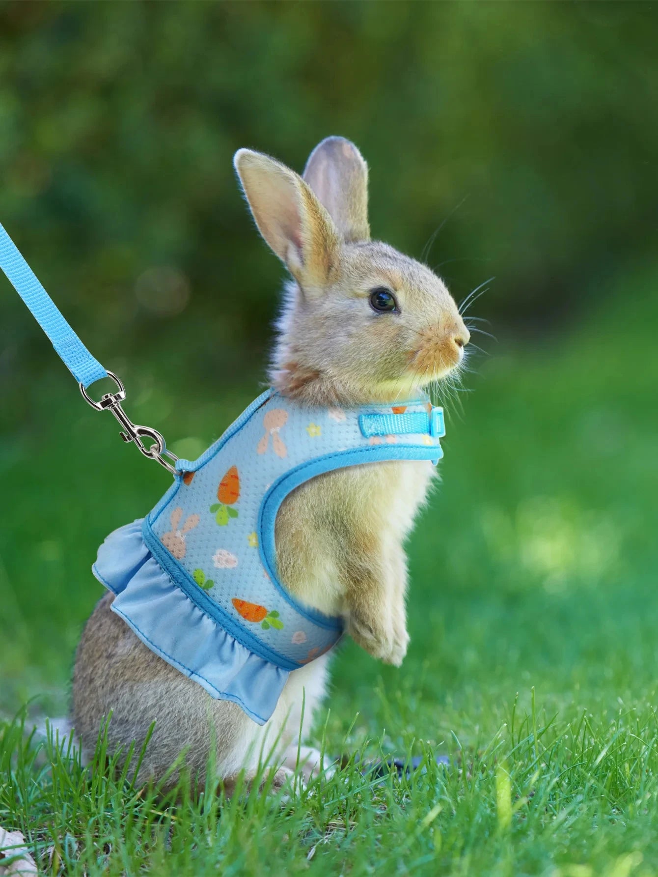 Cute Adjustable Rabbit Harness & Leash Set
