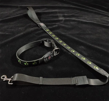 LED Light-Up Dog Collar & Leash Set