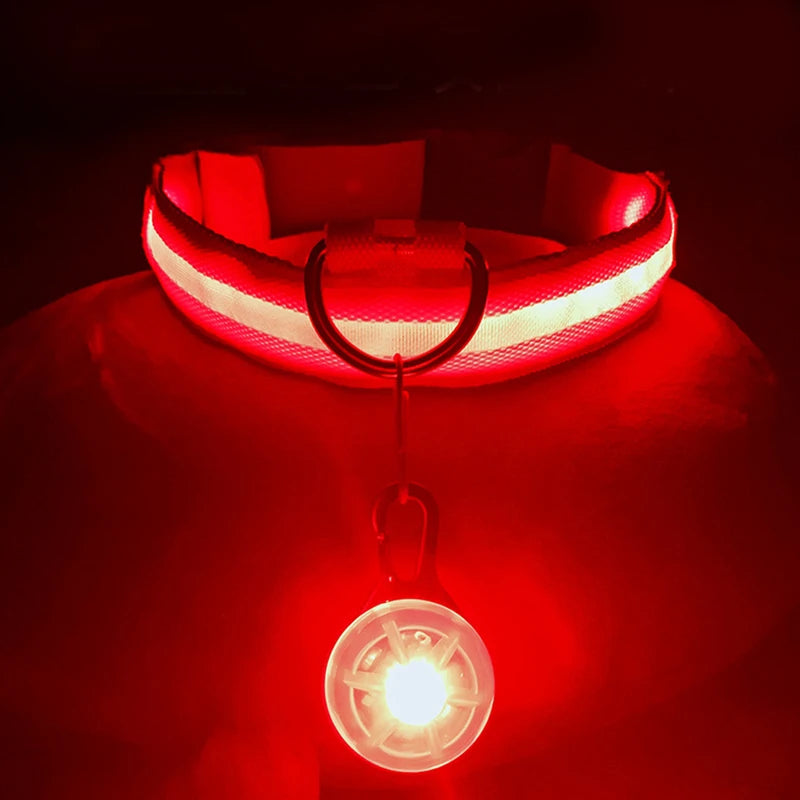 USB Rechargeable LED Dog Collar with Detachable Pendant – Luminous Safety Collar for Dogs & Cats