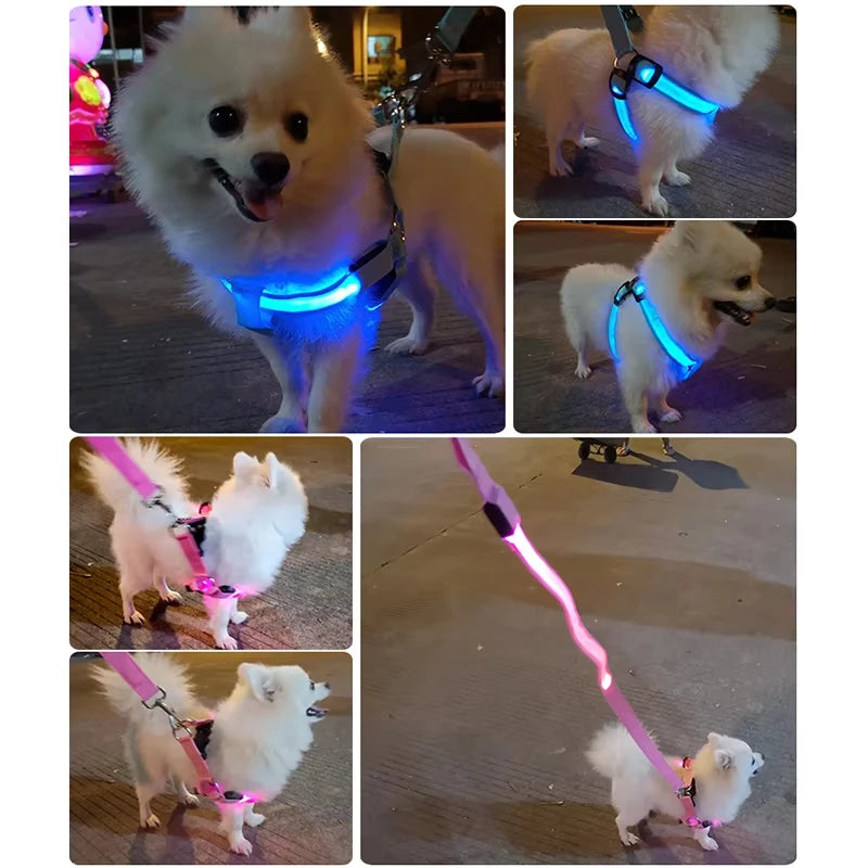 Adjustable LED No-Pull Dog Harness