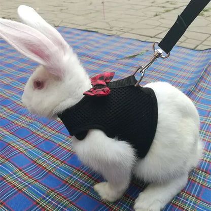 Cute Rabbit Walking Harness Set – Soft Vest with Leash for Outdoor Use