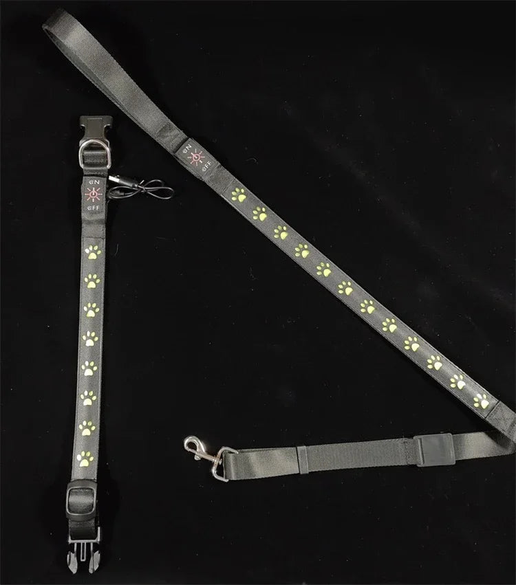 LED Light-Up Dog Collar & Leash Set