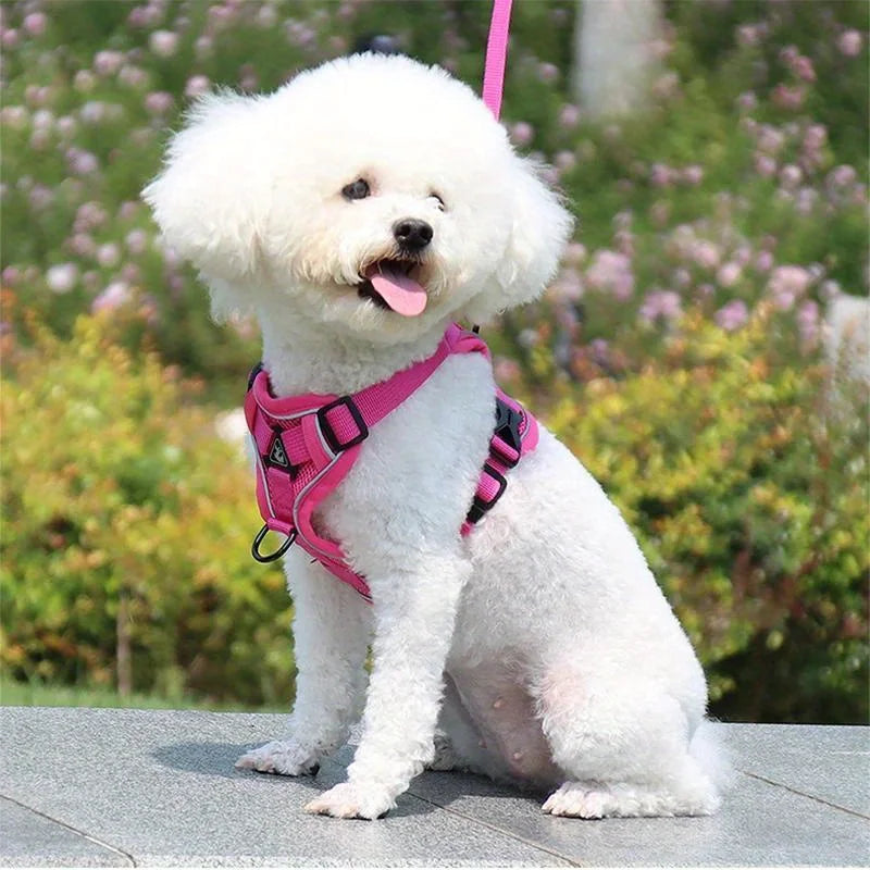 Dog Harness & Leash Set