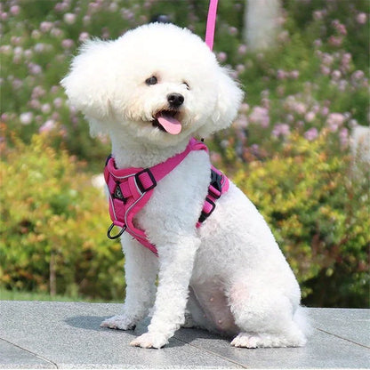 Dog Harness & Leash Set