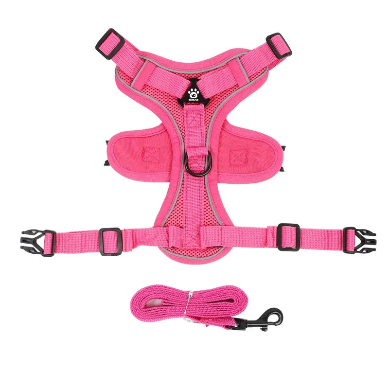 Dog Harness & Leash Set