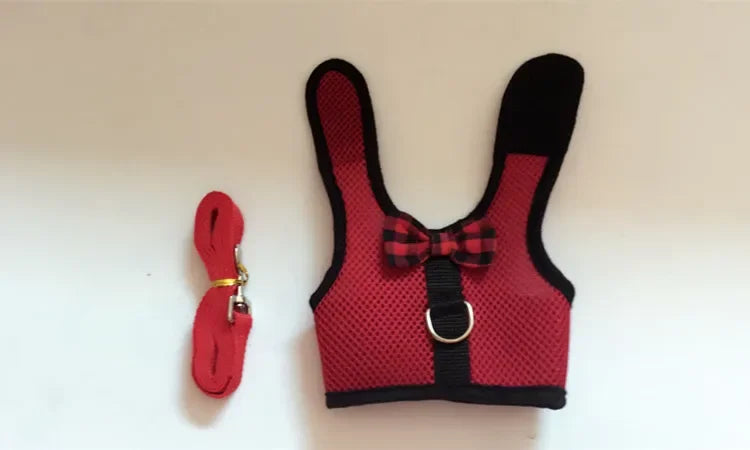 Cute Rabbit Walking Harness Set – Soft Vest with Leash for Outdoor Use