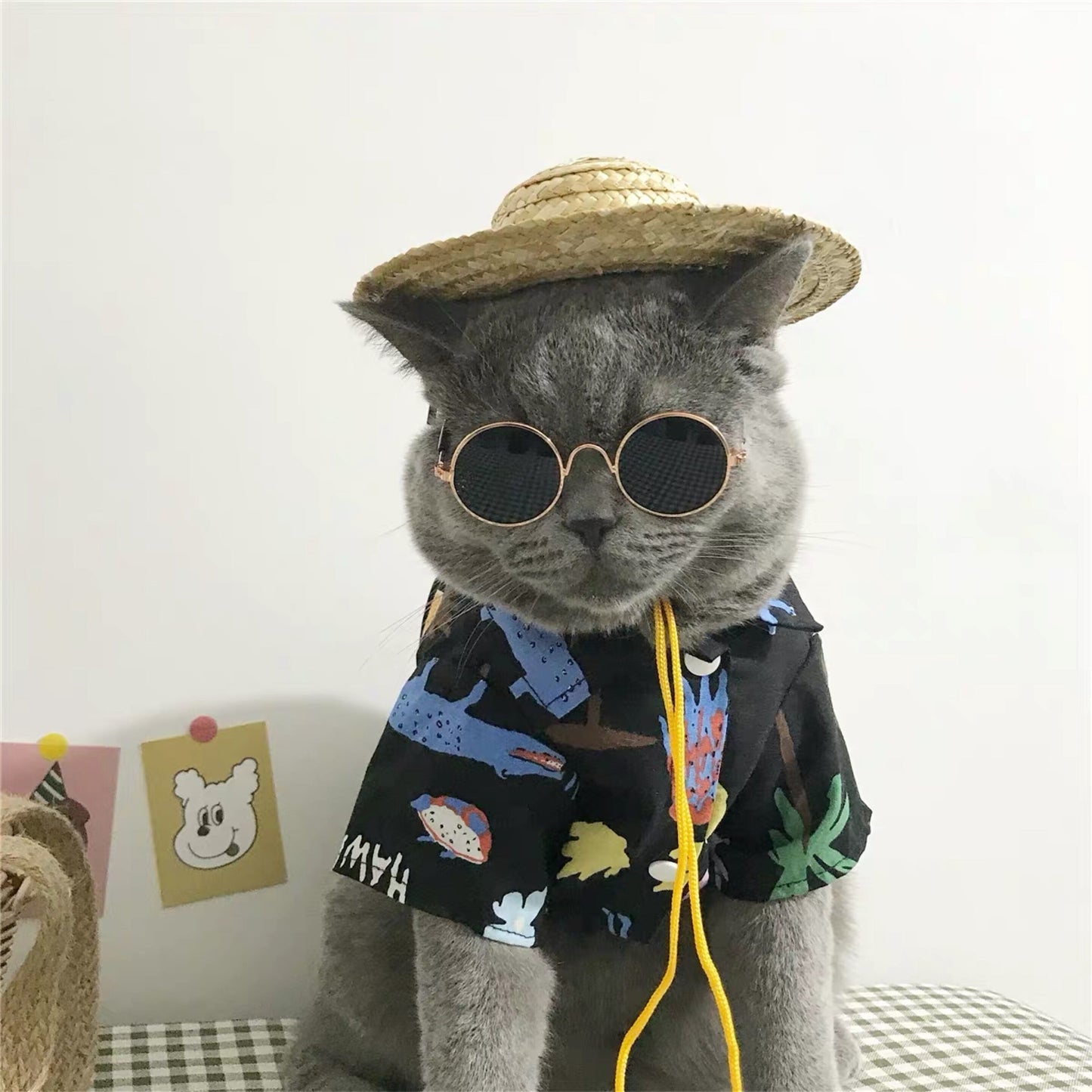 Vintage Round Pet Sunglasses – Fun Photo Prop for Cats & Small Dogs