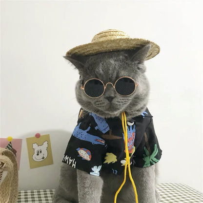 Vintage Round Pet Sunglasses – Fun Photo Prop for Cats & Small Dogs