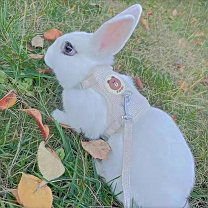 Cute Handmade Rabbit Harness Set