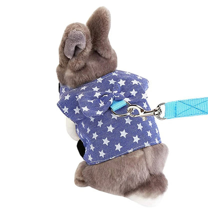 Cute Rabbit Walking Harness Set – Soft Vest with Leash for Outdoor Use