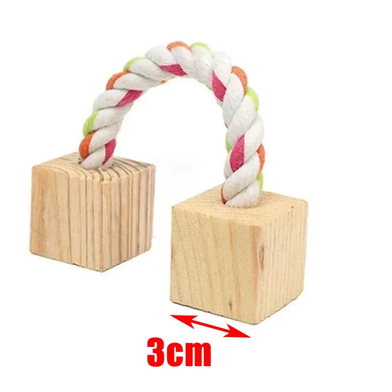 Wooden Rabbit Chew Toys – Natural Dental Roller Set