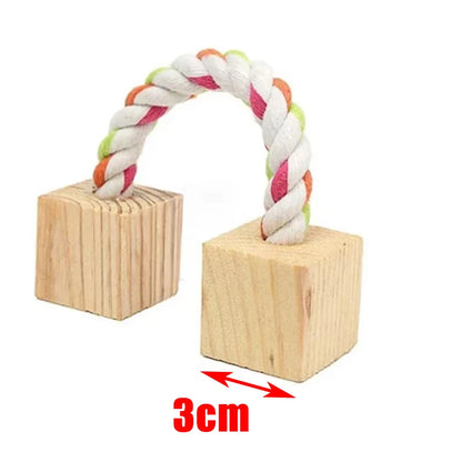 Wooden Rabbit Chew Toys – Natural Dental Roller Set