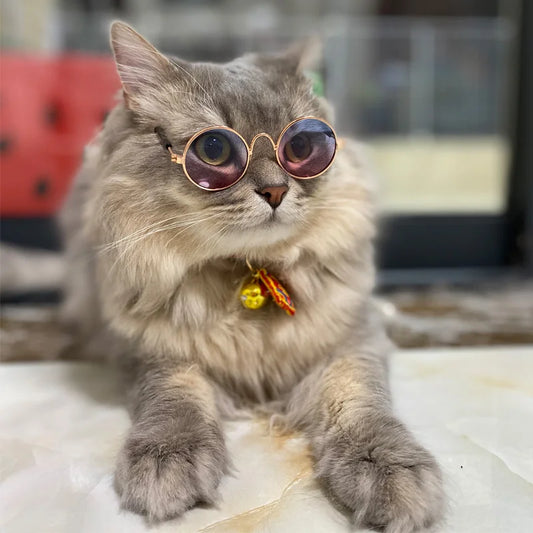 Vintage Round Pet Sunglasses – Fun Photo Prop for Cats & Small Dogs