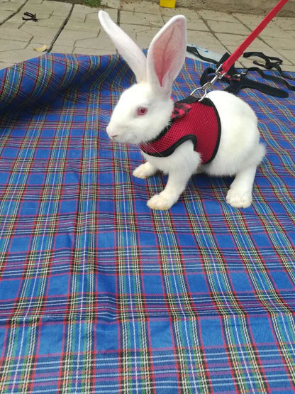 Cute Rabbit Walking Harness Set – Soft Vest with Leash for Outdoor Use