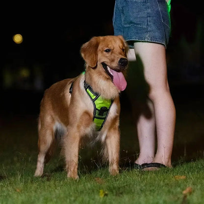 LED Reflective Dog Harness