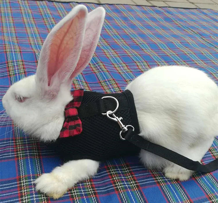 Cute Rabbit Walking Harness Set – Soft Vest with Leash for Outdoor Use